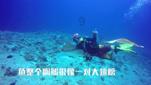 星际争霸2